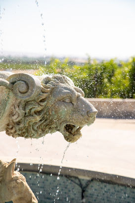Paris Valley Road Estate Fountain