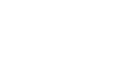Logo NAH blanco CROP.png