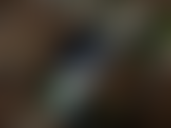 Aerial view of a white house with a solar roof, pool, and surrounding dirt lots. Tree-lined street nearby, creating a peaceful setting.