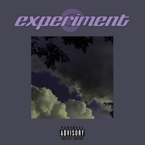 cam matthews - experiment