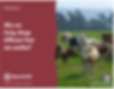 OSE 8.5 Genetics Thumbnail.png