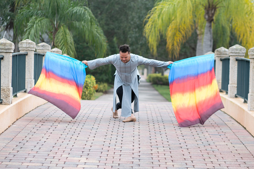 Thumbnail: FLAGS RECTANGULAR - AVIVAMIENTO