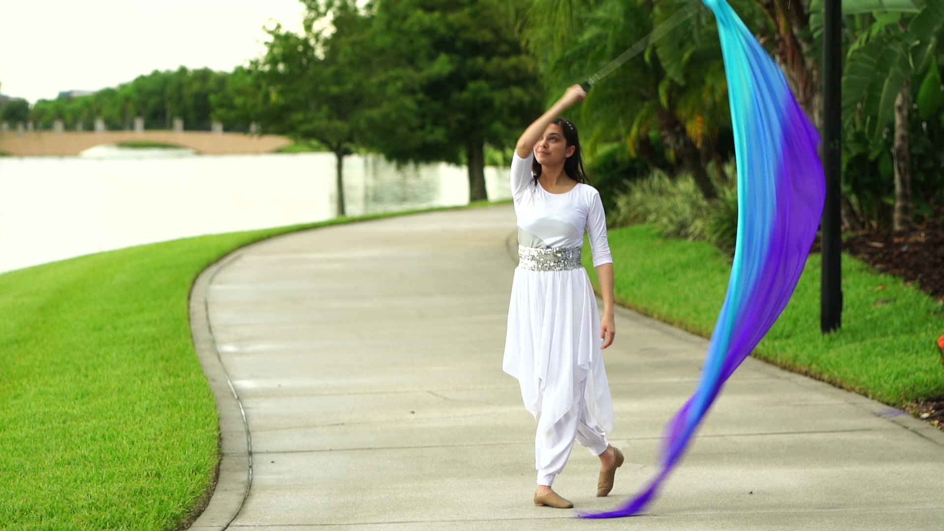 HONDA DE DAVID - AUTHORITY/AUTORIDAD