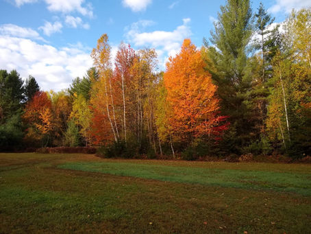 30 Autumn Activities. Create Your Friend Bucket List for Fall