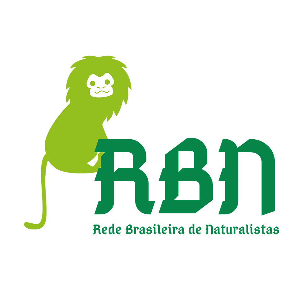 RBN 1.png