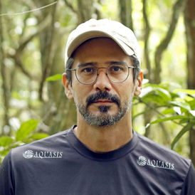 periquito da cara suja, aquasis