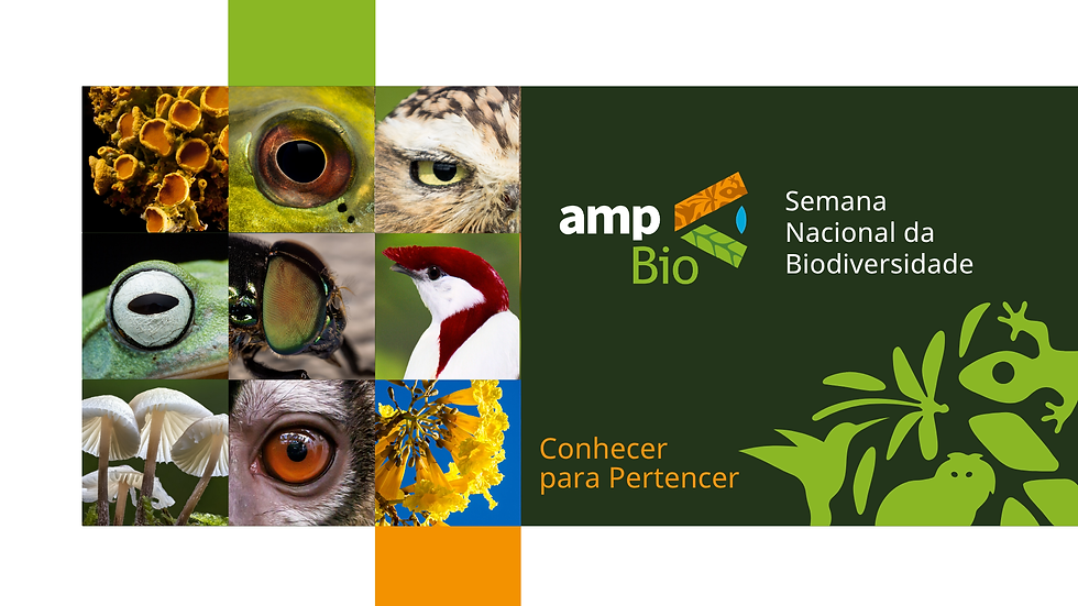 ampBio - Apresentação Geral (3).png