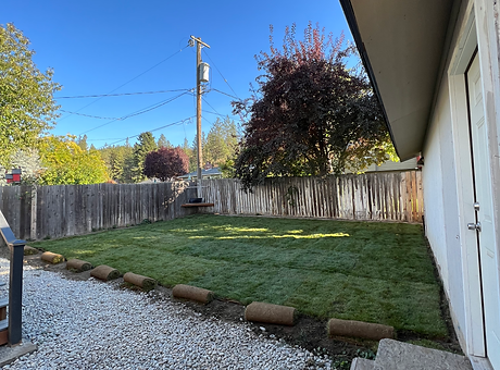 landscape sod install