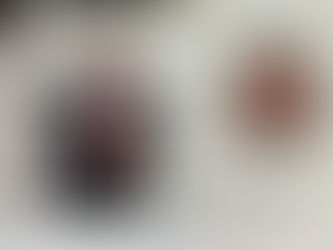 Dr. Jorge do Carmo fala da aprovação do PL 1032/19, que trata de regularização fundiária e urbana