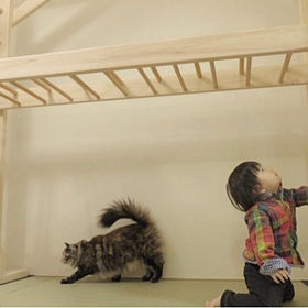 うんてい　室内うんてい　頑丈設計　丁寧なやすりがけ 雲梯、うんてい、室内遊具