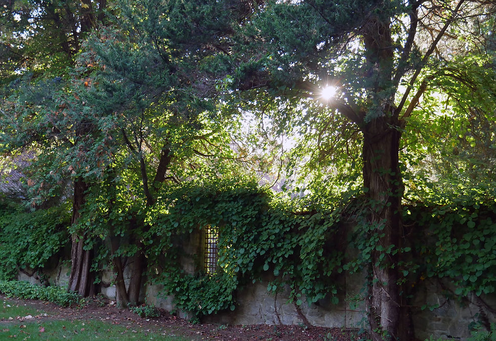 HELD FOR Private Party - Nancy Alchek client 