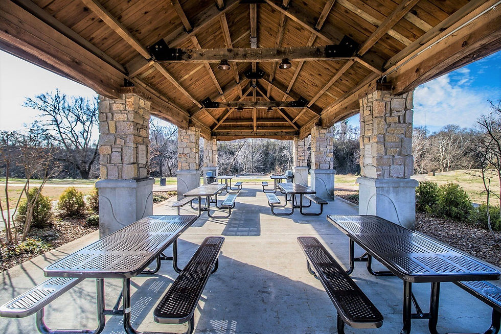 Empty Nesters' Picnic at the Park