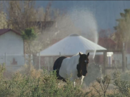 30-Acre Equestrian and Retreat Property for Sale in Minden, Nevada with Guest Houses and Water Rights
