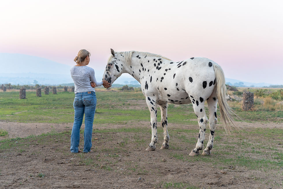December Horse Healing Retreat