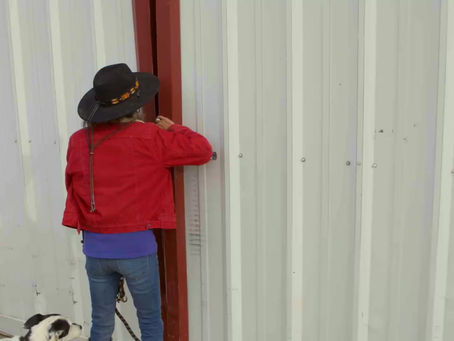 Learn to work with Horses at Starr Horse Retreats