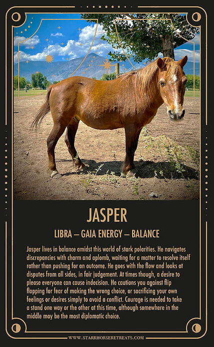 Jasper Oracle Card Starr Horse Retreats