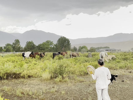 Drumming in the Rain with Horses.