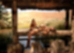Starr Horse Retreats at Rancho Rico