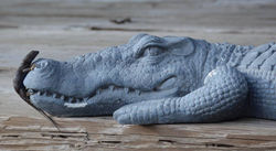 Starr Horse Retreats/Rancho Rico