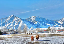Starr Horse Retreats/Chalet