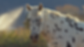 04_Aspen_Sprinkler_CU.png