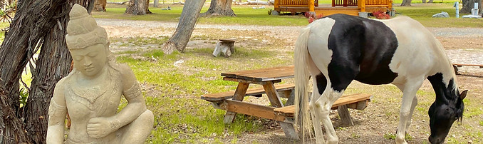 Rancho Rico  at Starr Horse Retreats