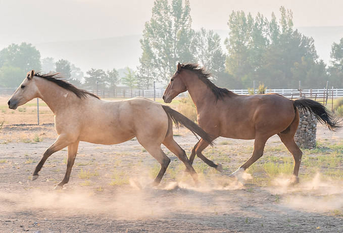 Starr Ranch-37.jpg