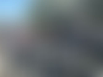 Qigong with the Herd & Wizard of Oz Tarot Hero’s Journey | Beyond the Saddle Week 2