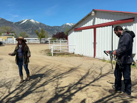 Clicker Training Day Two: Lifting Hooves, Arena Games, and Setting Boundaries at Starr Horse Retreats