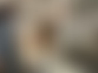 Food Hierarchy Between the Herd of Horses