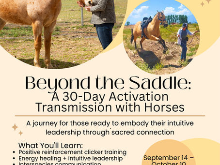 30-Day Transmission with Horses