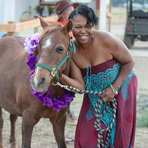 Starr Horse Retreats