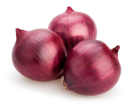 CEBOLLA MORADA