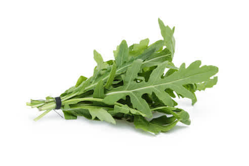 ARUGULA 500 GR