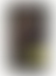 La Guerre du Pavot de R.F.Kuang