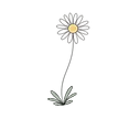 Daisy Line Art trans.webp