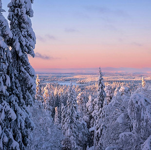 foresta-innevata-finlandia-lapponia-viaggi.JPG