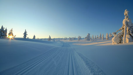 Paesaggio invernale in Finlandia