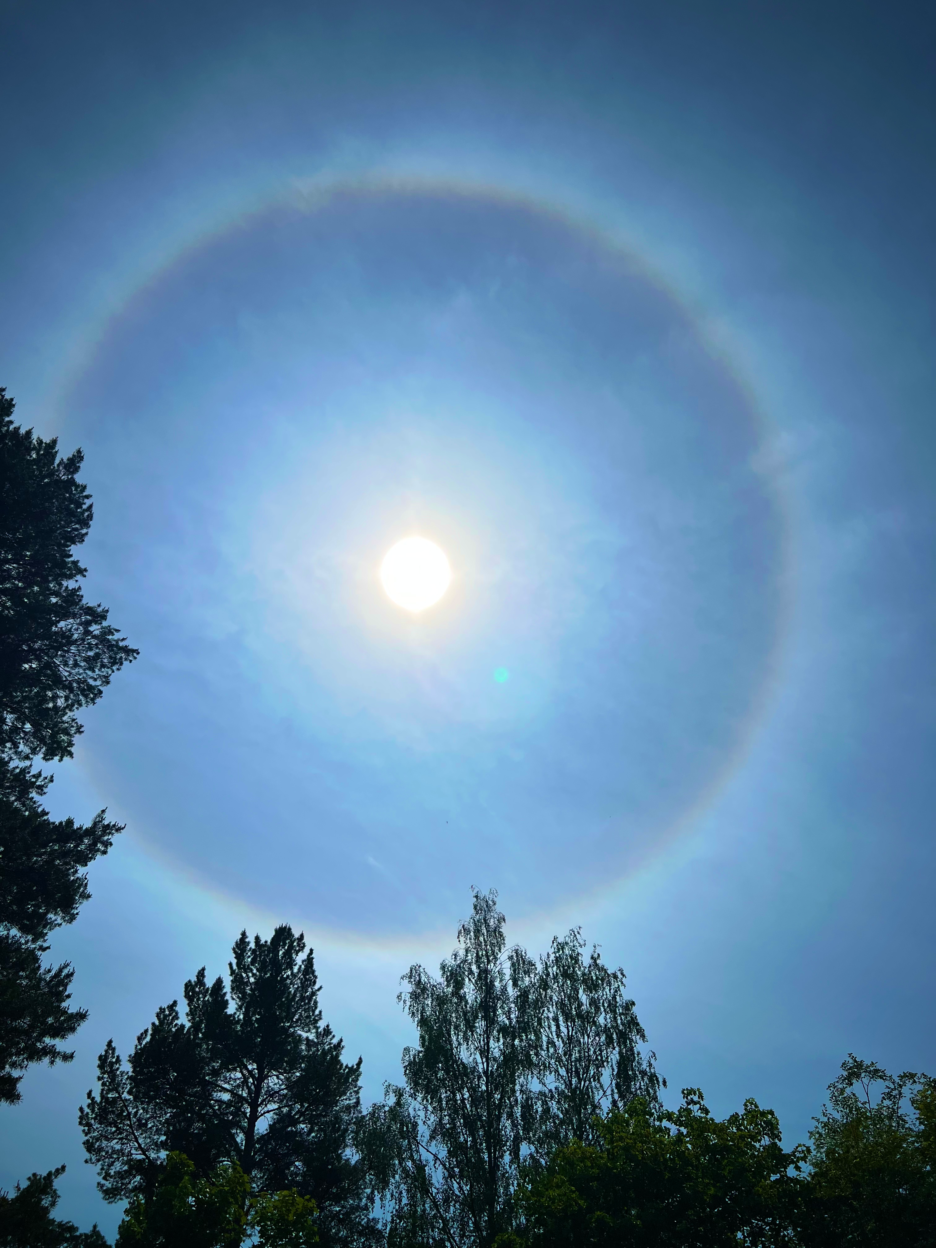 Immagine del redattore: Halo Tours