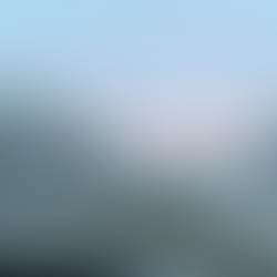 Autostrada in Finlandia con paesaggio con neve e foreste