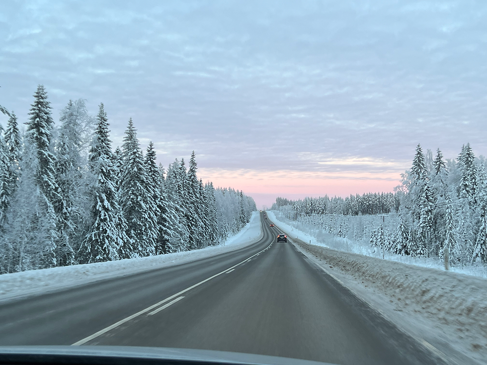 Autostrada in Finlandia con paesaggio con neve e foreste