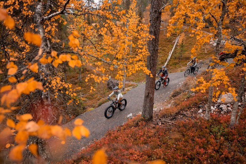 escursione in bici in autunno durante viaggio foliage autunnale in finlandia in carelia e regione dei laghi