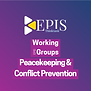 Working Groups - Peacekeeping.png