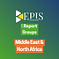 Report Groups - Middle East & North Africa.png