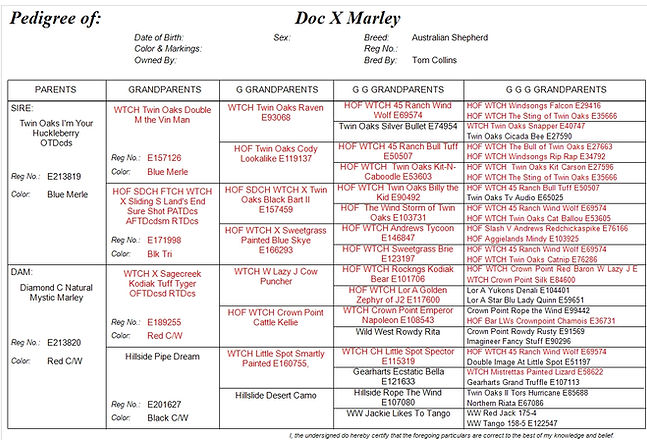 DocXMarley_5GenRed_01-23-JPG.jpg