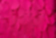 Taffeta Bubbles Fuchsia