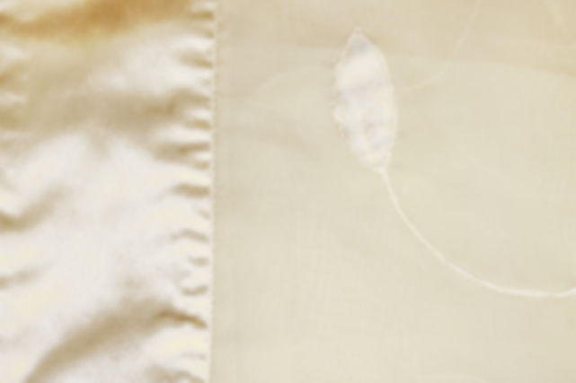 Sheer Organza Applique Embroidered Linen