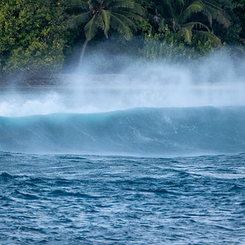 malediven_flyingfish-203 (1).JPG