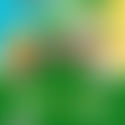 Southern California Association of Activity Professionals Fall Symposium 2023