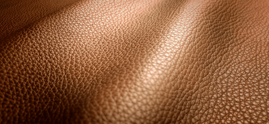 foto_banner_header3.png